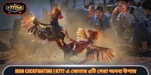Iron cockfighting | R777 এ জেতার ৫টি সেরা অনন্য উপায়