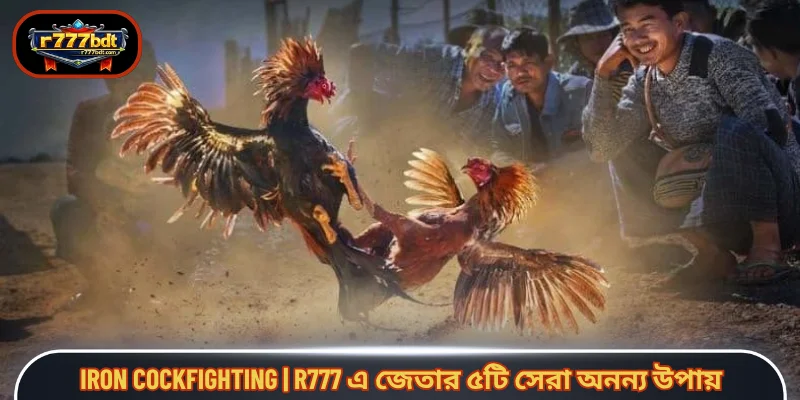 Iron cockfighting | R777 এ জেতার ৫টি সেরা অনন্য উপায়