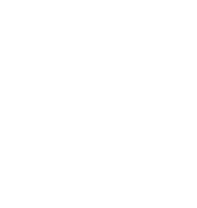 safe-payment r777